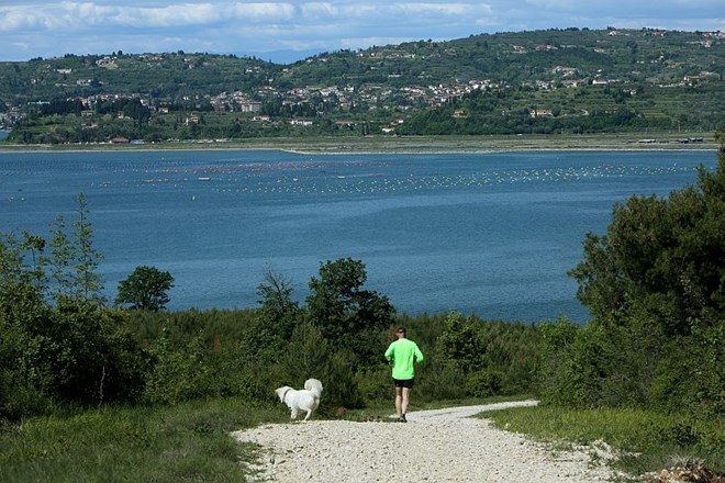 Ameriški diplomat Mitchell: ZDA pripravljene pomagati pri reševanju spora med Hrvaško in Slovenijo 