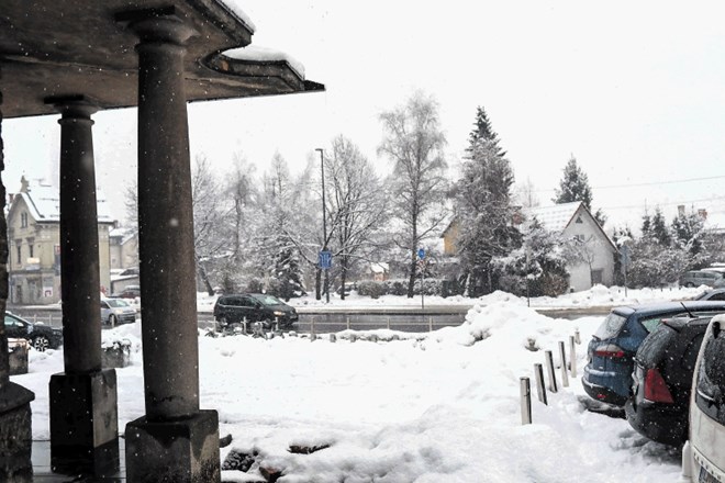 Ker je mogočna lipa ob cerkvi sv. Jerneja v Šiški odmirala, so se na občini odločili za odstranitev drevesa. Na Zavodu za...