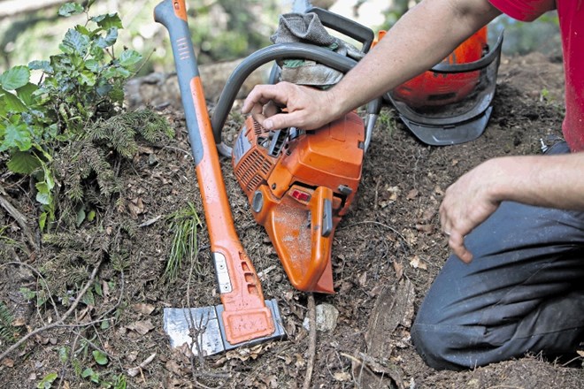 Cepljenje proti klopnemu meningoencefalitisu je za zdaj brezplačno le za zaposlene, ki svoje delo opravljajo v gozdu, in za...