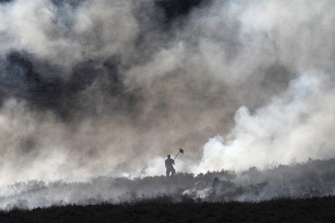 Z ognjenimi zublju se bori 50 gasilcev z desetimi vozili, ki se skupaj z drugimi pristojnimi službami v dimu in vročini...