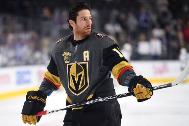 James Neal je na 703 tekmah v ligi NHL v statistiko vpisal 263 golov in zbral 495 točk.