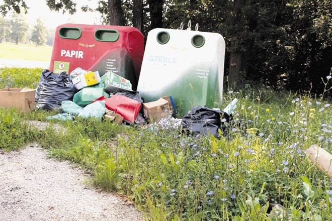 Tako nastlano je običajno na ekološkem otoku na Dobrni, pri parku.