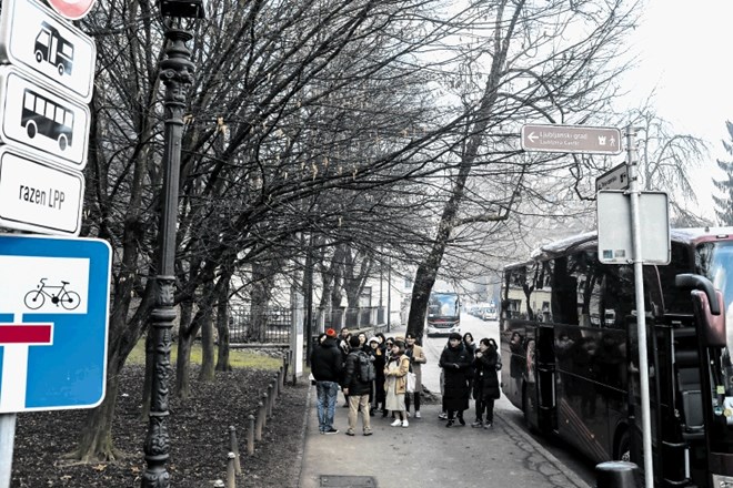 Štirje parkirni prostori v Streliški ulici so vstopno-izstopna točka za obiskovalce, ki se v Ljubljano pripeljejo s...