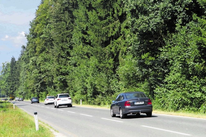 Na desni strani ceste proti avtocesti oziroma Naklemu naj bi nastala stanovanjska soseska s 400 enotami.