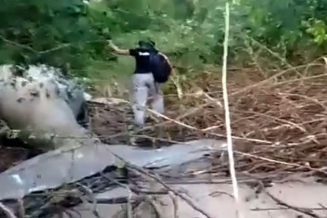 #video Na otoku na reki Amazonki našli naplavljenega kita grbavca