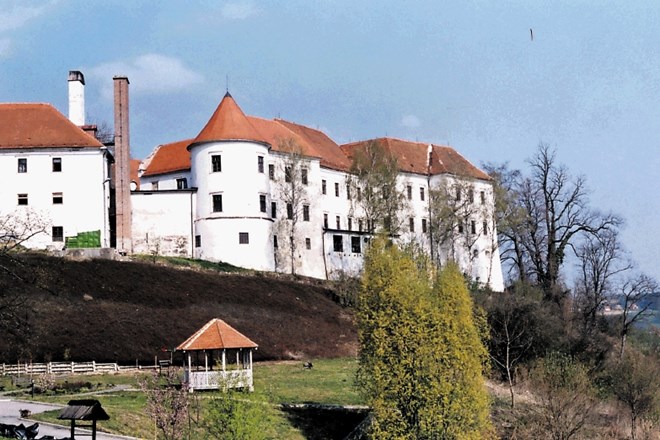 Za zidovi socialnovarstvenega zavoda Hrastovec je 24-letna H. M. D. 9. julija lani poskušala ubiti sostanovalko. Na...