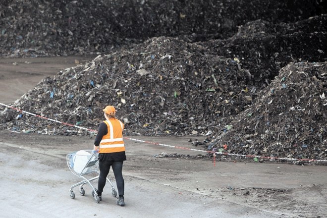 (Foto: Matjaž Rušt/dokumentacija Dnevnika)