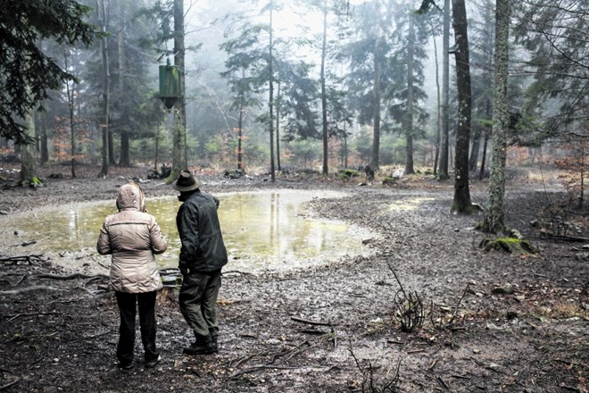 Ena lovska štorija: Deklica in medvedki