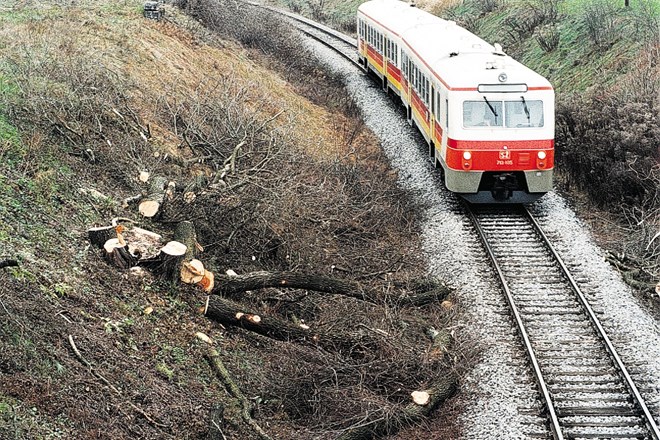 Slovenski vlaki imajo majhno hitrost in veliko vmesnih postankov na poti do cilja. (Foto: Luka Cjuha)