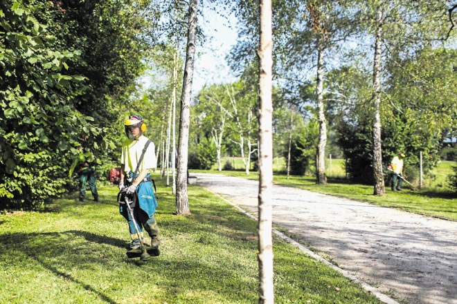 Na zavodu za zaposlovanje menijo, da je program javnih del zelo koristen, zato je dobro, da je vanj vključenih čim več...