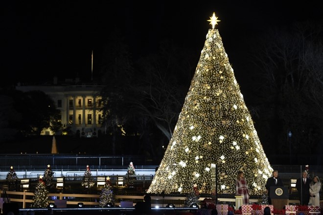 Predsednik ZDA Donald Trump in prva dama Melania Trump sta se v četrtek udeležila tradicionalnega prižiganja lučk na...