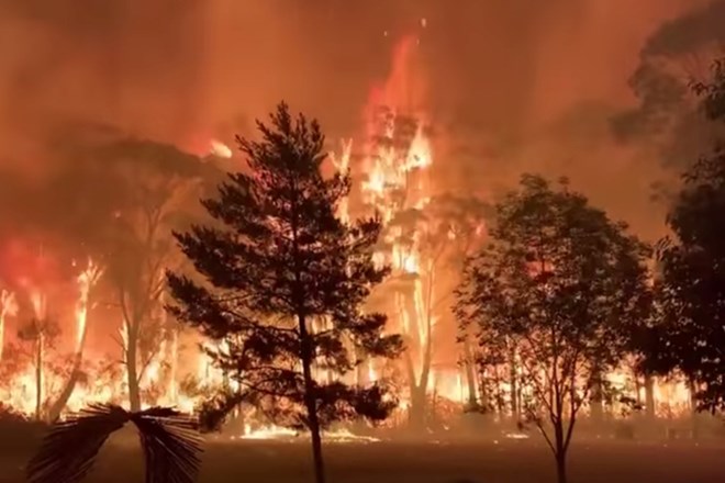 Avstralski zdravniki zaradi požarov opozarjajo na izredne razmere za javno zdravje