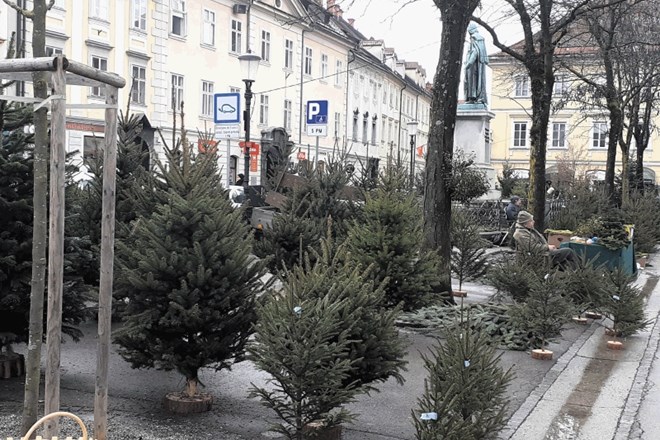 Cene tržnice: smreke od pet evrov naprej