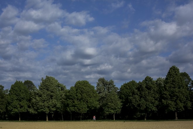 Fotografija je simbolična.