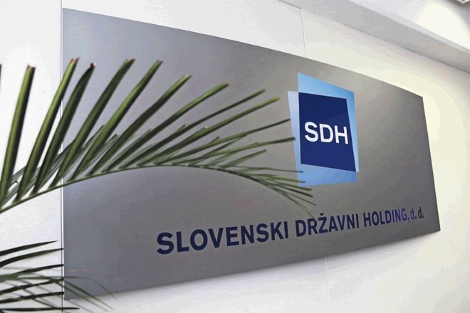 SDH lani predvidoma s 6,8-odstotno donosnostjo