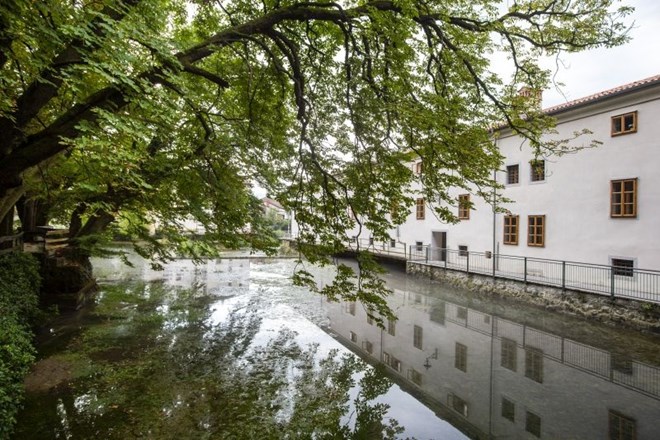 Vipava po desetletjih spet primerna za kopanje