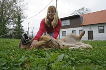 Svetovni dan živali opozarja na spoštovanje in odgovoren odnos do njih  