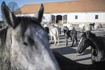 Vedno več želja po Unescovem prestižu