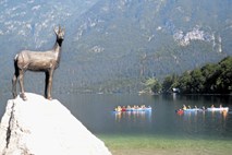 Veslanje na deski v Bohinju dobrodošlo, a kmalu ne več brezplačno