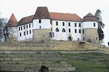 Gradovi Posavja bi lahko postali vseslovensko združenje