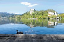 Do direktorja Turizma Bled z novim razpisom