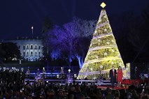 Zaposleni v Beli hiši se pritožujejo zaradi miši, mravelj in ščurkov