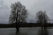 Ponoči sneg do nižin, reke ponekod znova naraščajo