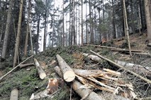 Kmetijski sklad nima za odškodnino Cerkvi