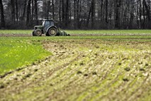 Bomo dobili prvo- in drugorazredne lastnike nepremičnin?