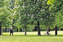 V posameznih predelih države je lahko okužena tudi polovica klopov