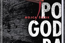 Recenzija romana Pogodba Mojce Širok: Roka roko umije