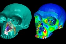 Neandertalcu je velik nos omogočal lažje preživetje v mrazu 