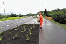 Po severni blejski obvoznici prihodnji teden 