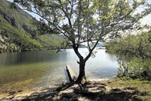  Bohinjsko jezero usodno za Kitajko