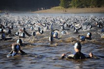 Ironman I Feel Slovenija že razprodan - 1400 prijavljenih