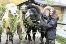 Bojana Stranjac, nutricistka v ZOO Ljubljana: Slonica Ganga je na tehtnici vsak dan