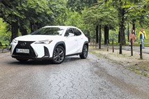 Novost naprodaj: Lexus UX