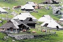 Prvi poletni konec tedna na Veliki planini