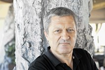 Vileniški nagrajenec bo Dragan Velikić