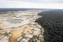 Nemčija zamrznila denar zaradi brazilskega krčenja pragozda