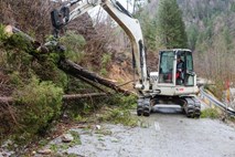 Neurje po Sloveniji odkrivalo strehe, podiralo drevesa in zalivalo objekte