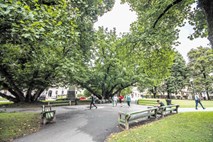 Naslednja na vrsti za prenovo Tavčarjeva ulica in Miklošičev park