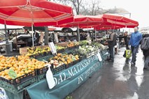 Dalmatinsko sadje v Ljubljani dražje kot v Zagrebu