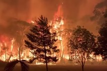 Avstralski zdravniki zaradi požarov opozarjajo na izredne razmere za javno zdravje