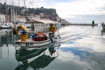 Hrvaška s skoraj pol milijona evrov kazni slovenskim ribičem