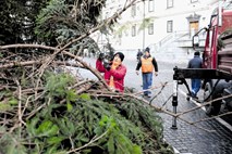 Božič že nekaj let zapored zelen