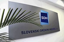 Bo nadzorni svet SDH spet deloval v zdesetkani posadki?