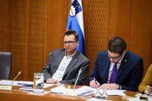 Černač: Z decentralizacijo ne smemo dobivati le novih direktorjev, tajnic in fikusov