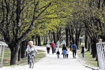 Iz dnevnika starega koronaša Branka Gradišnika, II.: Epidemia longa, vita brevis*