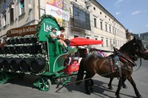 Festivala Pivo in cvetje Laško letos ne bo